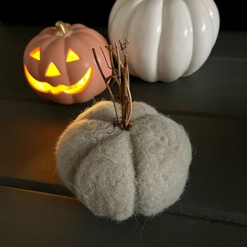 Grey Wool Pumpkin With Twiggy Stems, 2 of 2