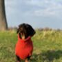 Personalised Pure Cashmere Dog Jumper Sweater, thumbnail 5 of 12