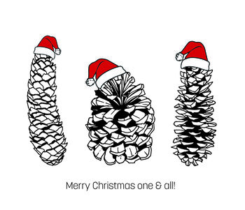 Pine Cones With Christmas Hats Pack Of Six, 6 of 6