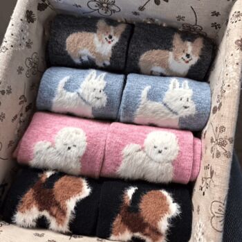 Novelty Fun Socks Dog Puppy Theme Four Pack, 5 of 6