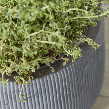 Silverstone Symmetry Stripe Planter, 5 of 7