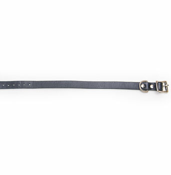 Dog Collar Leather, 3 of 9