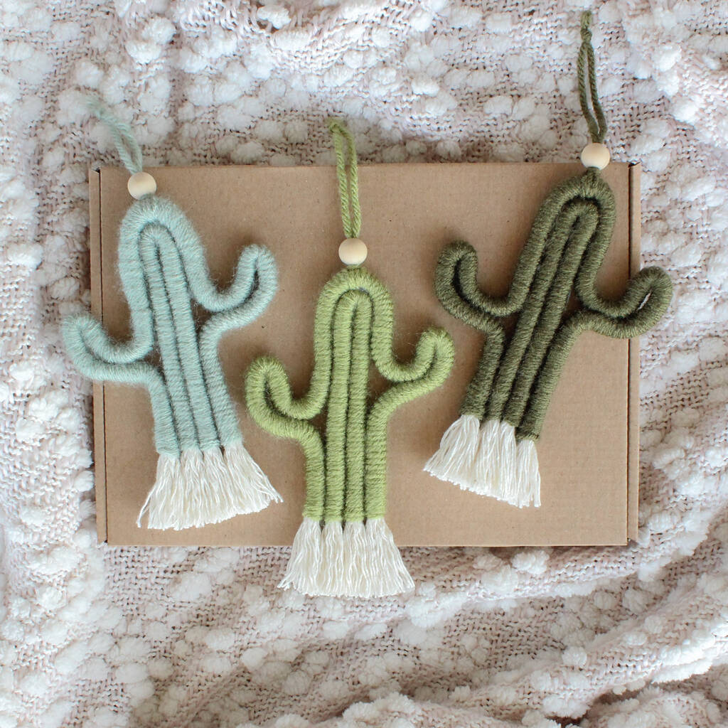 Make Your Own Mini Macrame Cactus Craft Kit, 1 of 6