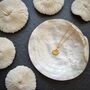Gold Vermeil Ammonite Charm Necklace, thumbnail 4 of 10