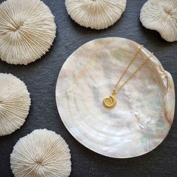Gold Vermeil Ammonite Charm Necklace, 4 of 10
