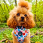 Chunky Check Dog Harness, thumbnail 8 of 12
