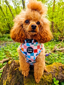 Chunky Check Dog Harness, 8 of 12