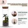 Fully Assembled Bonsai Terrarium Gift | 'Tokyo', thumbnail 8 of 9