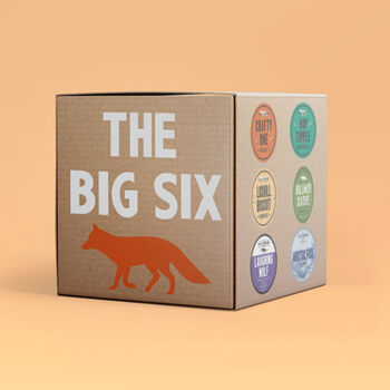 Crafty Big Six Six Pack Of Beers, 2 of 7