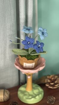 Crochet Pot Flowers Best Gift For Every Occasions, 11 of 12