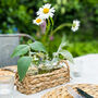 Neutral Straw Basket With Three Glass Bottles Vases, thumbnail 1 of 5