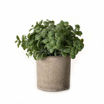 Faux Basil Plant In Stone Effect Pot, 2 of 5