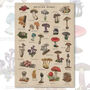 British Mushroom Artwork/Fungi Illustration Print, thumbnail 8 of 11