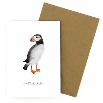 Atlantic Puffin A6 Greetings Cards, 7 of 7