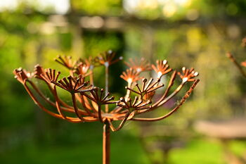 Rusty Metal Cow Parsley, 6 of 8