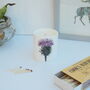 Thistle Luxury Hand Poured Candle, thumbnail 2 of 3