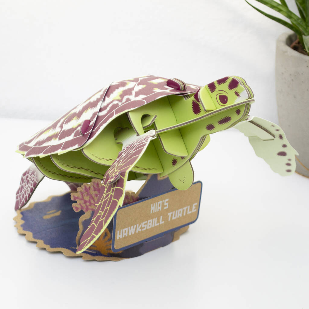 Build Your Own Personalised Hawksbill Turtle, 1 of 10