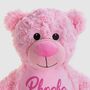 Large Personalised Pink Fluffy Bear, thumbnail 3 of 6