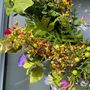 Large Colourful Summertime Floral Wreath, thumbnail 7 of 8