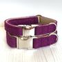 Mulberry Harris Tweed Dog Collar, thumbnail 2 of 3