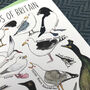 Coastal Birds Of Britain Art Blank Greeting Card, thumbnail 6 of 11