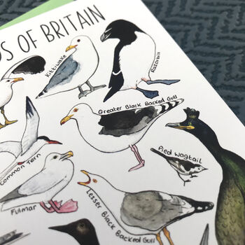 Coastal Birds Of Britain Art Blank Greeting Card, 6 of 11