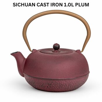 Cast Iron Teapot Sichuan 1000ml With Steel Filter, 2 of 11