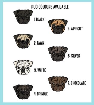 Personalised Pug Baby Onesie, 5 of 6