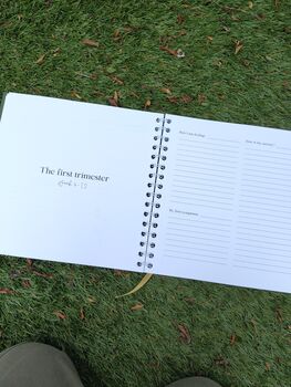 Pregnancy After Ivf Journal, 6 of 10
