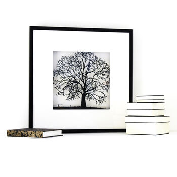 Framed Tree Silhouette Black And White Art, 7 of 9