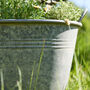 Metal Planter Tub With Handles, thumbnail 3 of 4