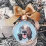 Personalised Pet Portrait Bauble, thumbnail 1 of 9