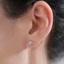 Anatomical Brain Stud Earrings In Sterling Silver, thumbnail 6 of 11