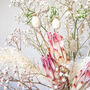 Gypsophila And Protea Pink Bouquet 'Sugar Lu', thumbnail 4 of 6