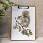 Grey Squirrel And Plum, thumbnail 1 of 2