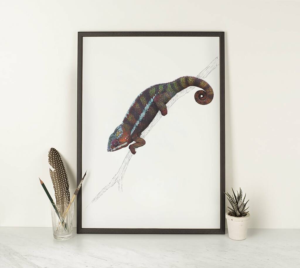 Panther Chameleon Giclée Print By Ben Rothery Illustrator ...