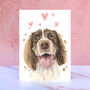 Springer Spaniel Licks And Kisses Greetings Card, thumbnail 1 of 1