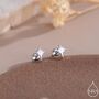 Sterling Silver Tiny Starburst Screw Back Earrings, thumbnail 1 of 8