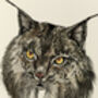 I Is For Iberian Lynx Illustration Print, thumbnail 4 of 6