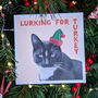 Christmas Pets Dogs And Cats Card Pack, thumbnail 9 of 9