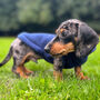 Mini Dachshund Puppy Navy Fleece, thumbnail 3 of 3