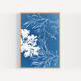 Blue Seaweed Art Print, Fan And Siphon Weed, thumbnail 1 of 4