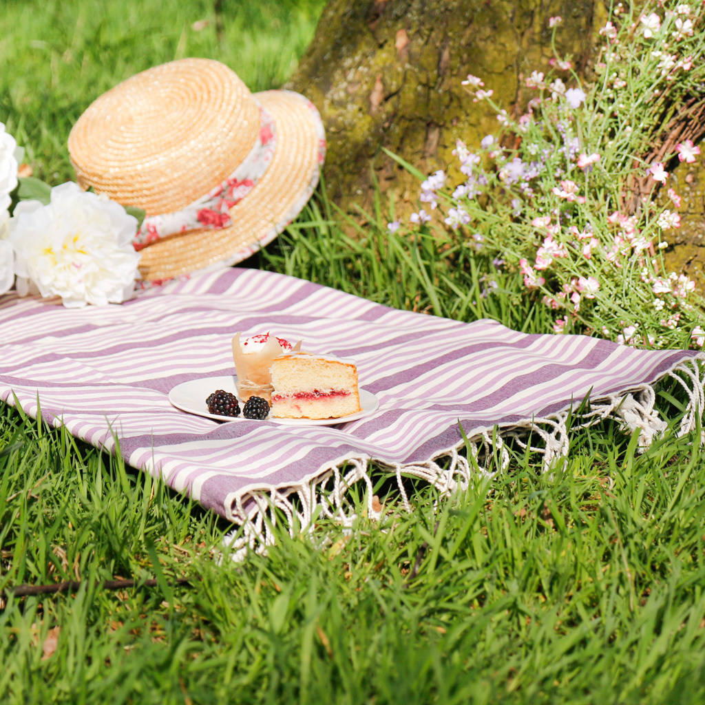 lilac striped cotton picnic blanket by dibor