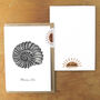 Ammonite Print A6 Greetings Card, thumbnail 4 of 7