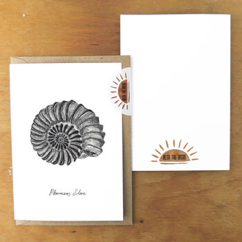 Ammonite Print A6 Greetings Card, 4 of 7
