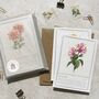 Set Of Six Pink, Orange And Yellow Floral Notecards And Envelopes, thumbnail 1 of 11