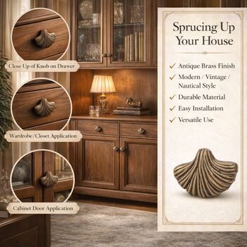 Nautical Brass Seashell Knob, 7 of 8