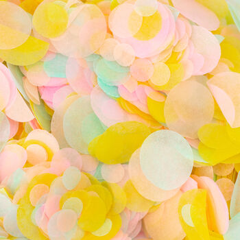 Pastel Rainbow Biodegradable Wedding Confetti, 5 of 6