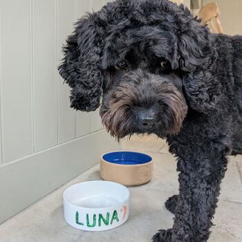 Paint Your Own Pet Bowl, 6 of 7