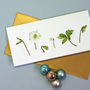 Card With Christmas Rose Illustrations, thumbnail 1 of 3
